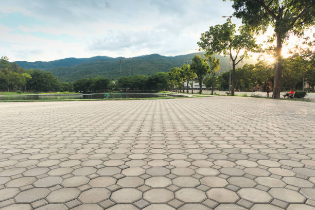 Best Driveway Repair Near Me  in Lacon, IL