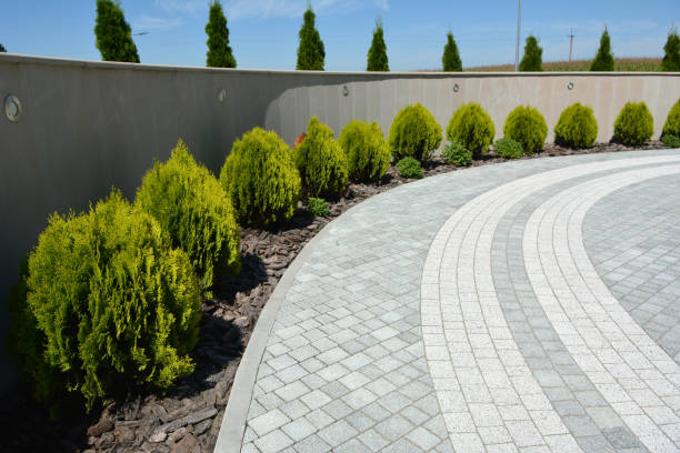 Best Concrete Paver Driveway  in Lacon, IL